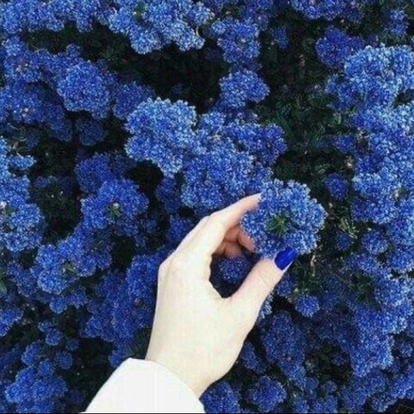 Meet your Posher, Halle - Picture 1 of 1